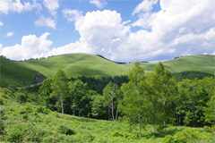 北信州の里山 飯山